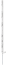 Weiß
